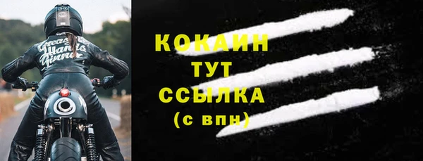 стафф Карпинск