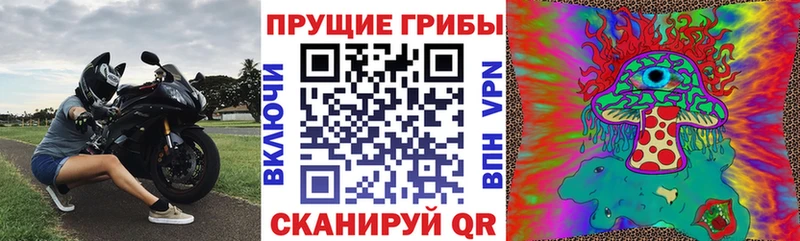 Галлюциногенные грибы мицелий  Закаменск 